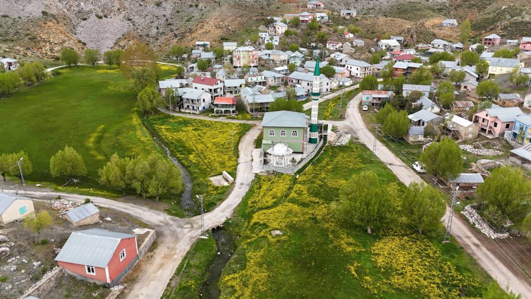 Konya’nın yalancı cenneti uyandı! Doğa tutkunları akın ediyor 5